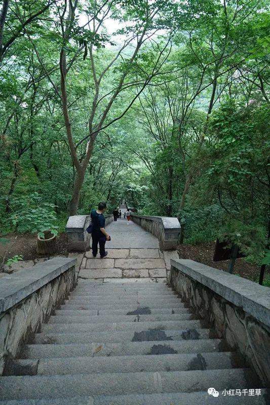 中岳嵩山行记（一）——少林寺、少室山