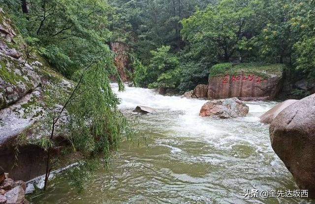 云树翠柏满山绿，雨后九水分外美