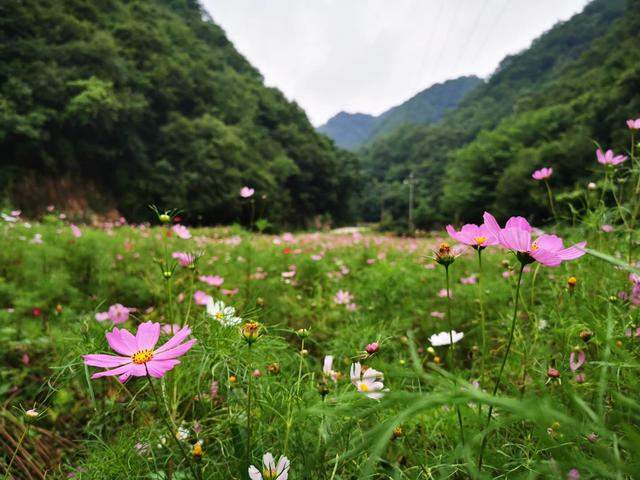 25度的夏天，洛阳这个最年轻的4A景区，有着“中原最美瀑布群”