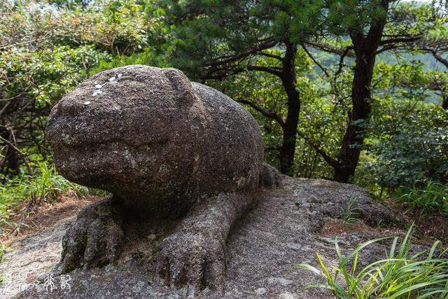 没有列入洞天福地，却以道教最高信仰命名的山，是世界自然遗产