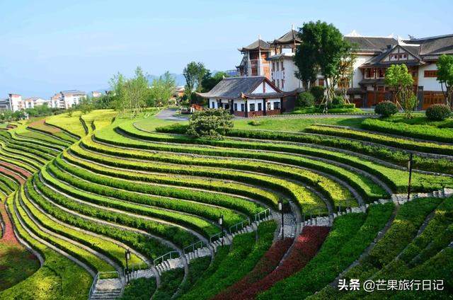 贵州有个古镇，拥有全国唯一的城中花海梯田，看起来像大地的指纹