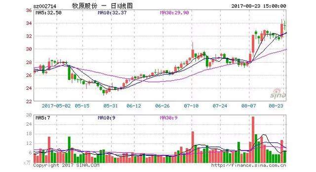 靠养猪也能成就千亿帝国，看牧原秦英林如何逆袭超越王健林