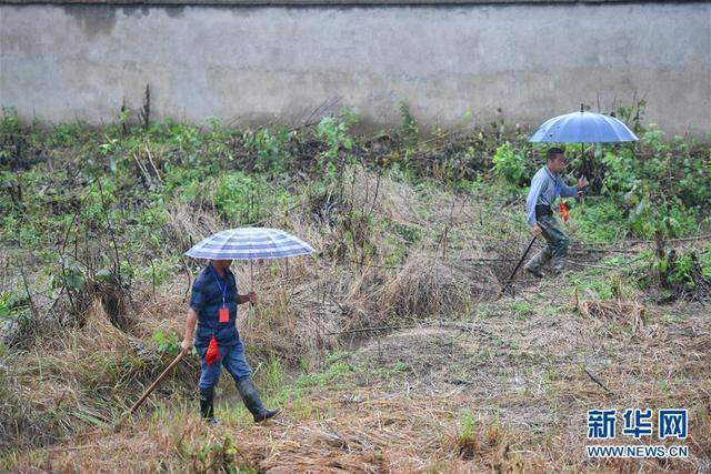 八百里洞庭成“悬湖”！湖面与二层楼顶几乎持平