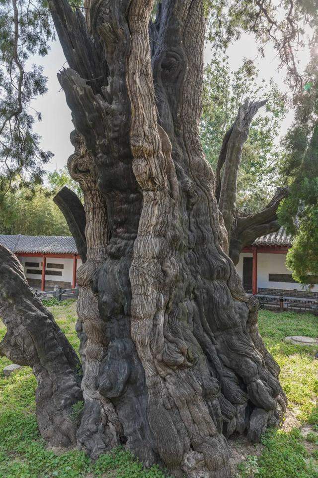 河南嵩山的景色在五岳中能排第几？让我们徒步去看一看