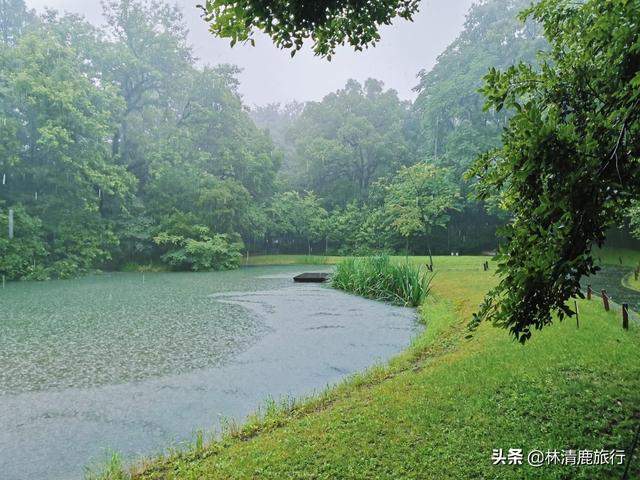 西湖被游客遗忘的秘境，南宋两位太子埋在此，风景好没门票