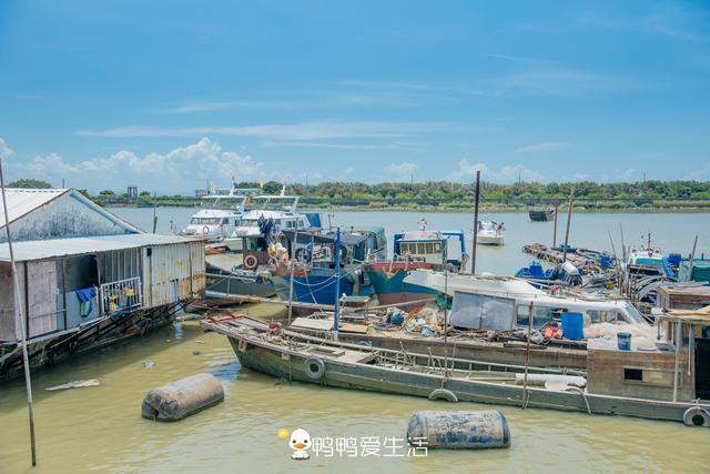 广州最南端的海边，没有海滩只有石堤坝，游客最爱来买海鲜