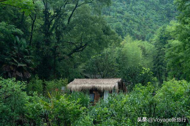 雨季江南，最美不过青山中的景德镇