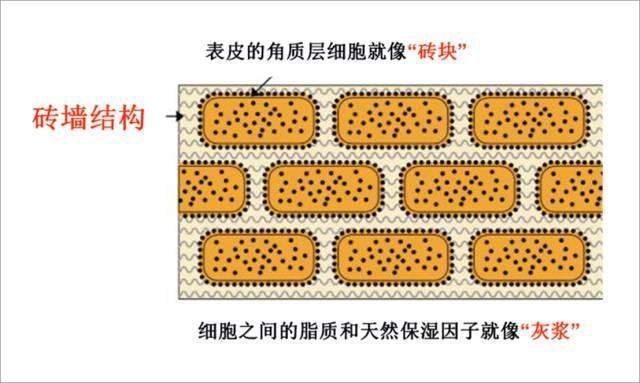 夏季阳光肆虐，除了防晒，女人要时刻做好保湿工作，试试用甘油