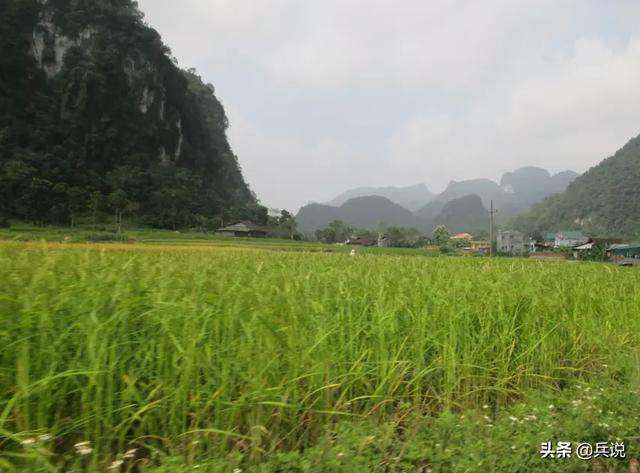 老兵重返越南，寻访昔日战场：泥巴房没变，村寨多陵墓