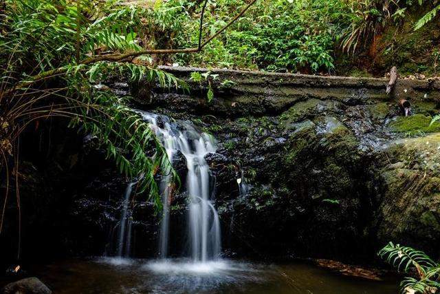 广西柳州最值得去的4A景区，以原始深山野林探险为特色，你想去吗