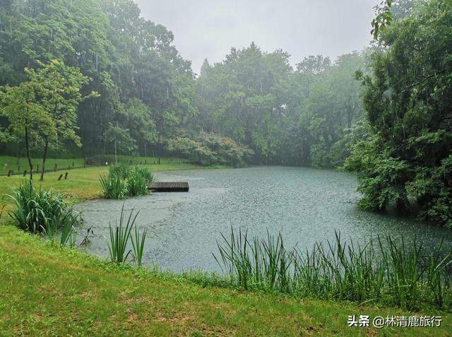 西湖被游客遗忘的秘境，南宋两位太子埋在此，风景好没门票