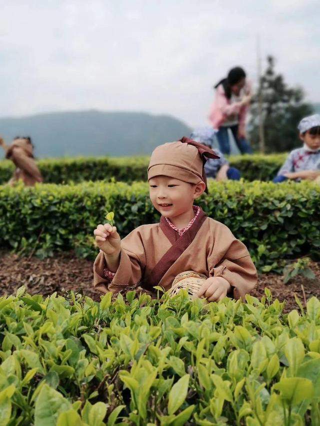 夏日，松阳三天两晚这样玩，附路线