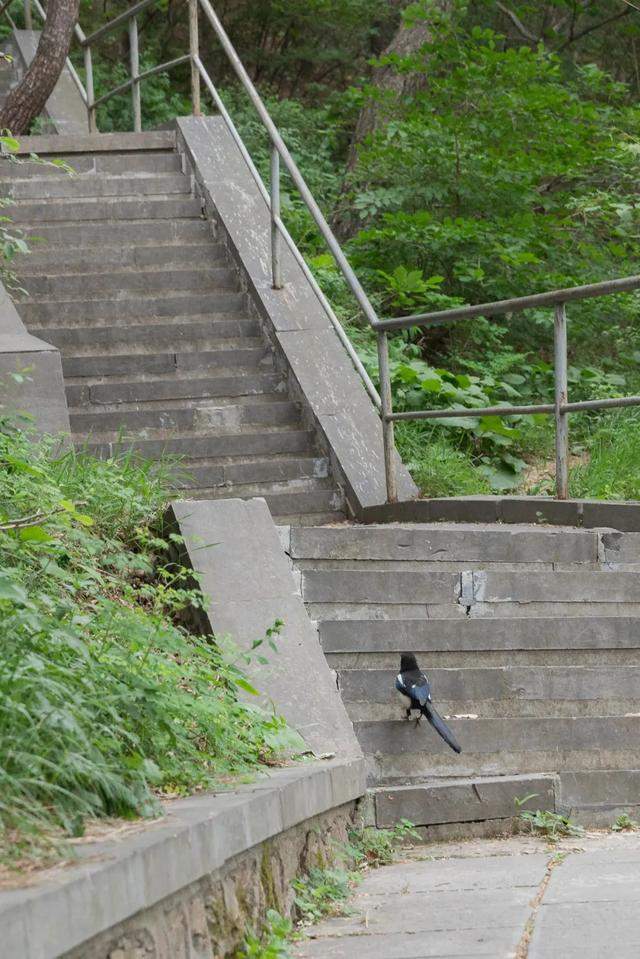 河南嵩山的景色在五岳中能排第几？让我们徒步去看一看