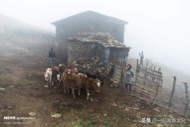 伊朗北方天然牧场，不仅牛羊肥沃，也是度假和避暑之处