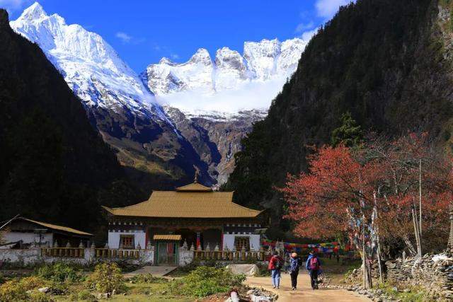 国家通知我出门旅行了