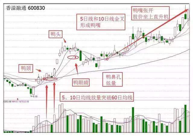 北大女博士罕见发言：全世界股票都是T+0，为何中国股市是T+1？