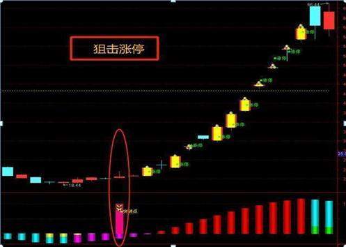 中国股市：长期持有一只股票，不理会股票涨跌，坚持每天做T，10年以后会什么光景？