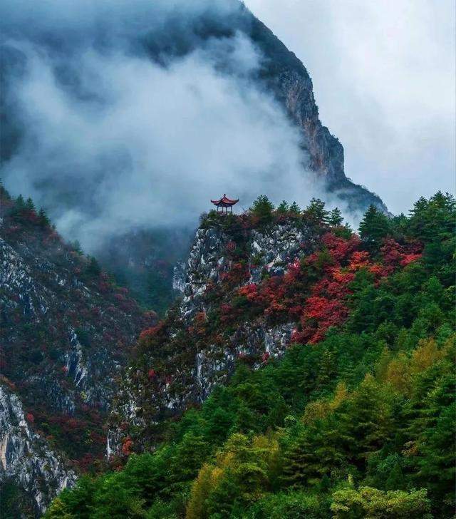 陇南康县 ￨ 一个不要门票的天然大景区