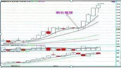 07年买入十万元的中石油股票，坚定持有到现在，结局会是怎样？