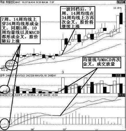 A股：当初买入贵州茅台与格力电器的股民，现今区别在哪？不是股市不赚钱，而是赚钱的思维变了