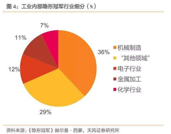 寻找 A 股中的“隐形冠军”：哪些小市值标的有望长大？