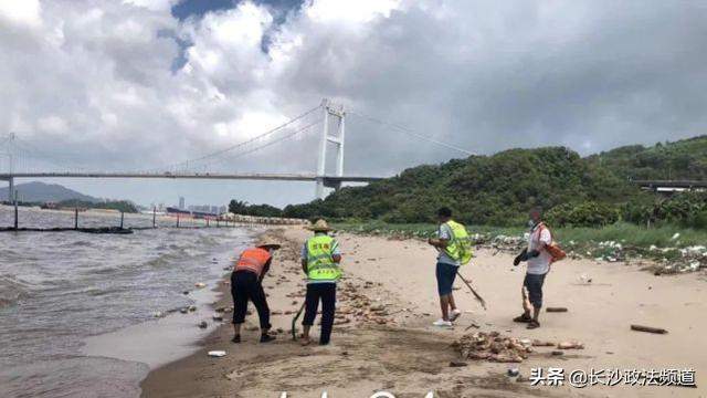 海滩漂来大量猪蹄，多部门已介入调查