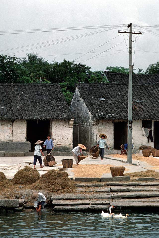 1981年的杭州老照片，那才是人间天堂