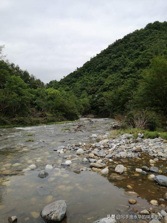 陕南，进山自驾游，发现河边这户人家里全是奇石，有块很像骆驼