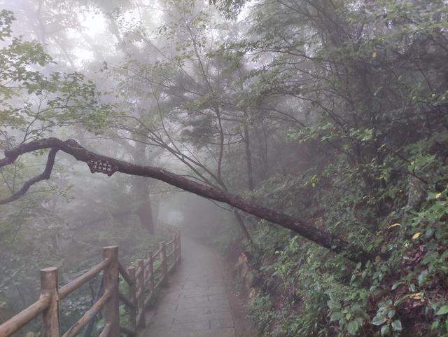 风雨交加的老君山之旅