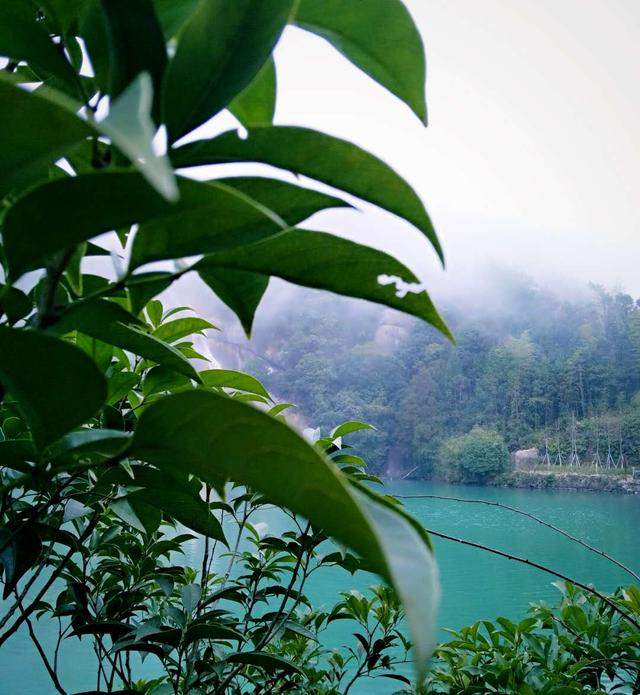 闽越三大名山之一——太姥山