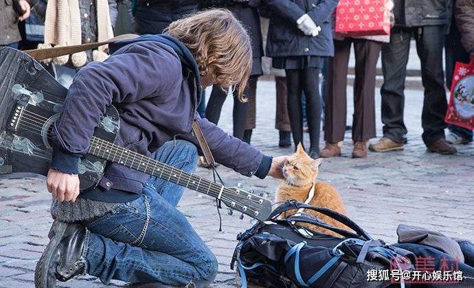 流浪猫鲍勃去世去年年底才开拍续集流浪猫鲍勃怎么红的