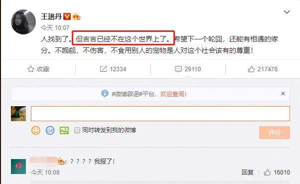 瓢哥的好朋友被抓？王珞丹在线发寻鸭启事，网友：鸭命难保