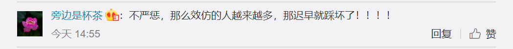 一脚“亿年”网红博主肆意踩踏丹霞地貌不可忍！