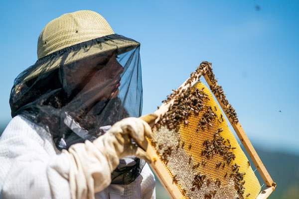 娇兰庆祝全球 WOMEN FOR BEES 项目 喜迎国际妇女节