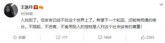 王珞丹发寻鸭启事被曝是王思聪同款一只过万