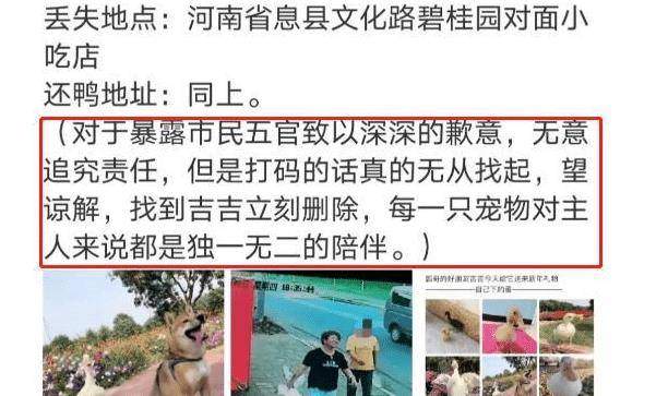 瓢哥的好朋友被抓？王珞丹在线发寻鸭启事，网友：鸭命难保