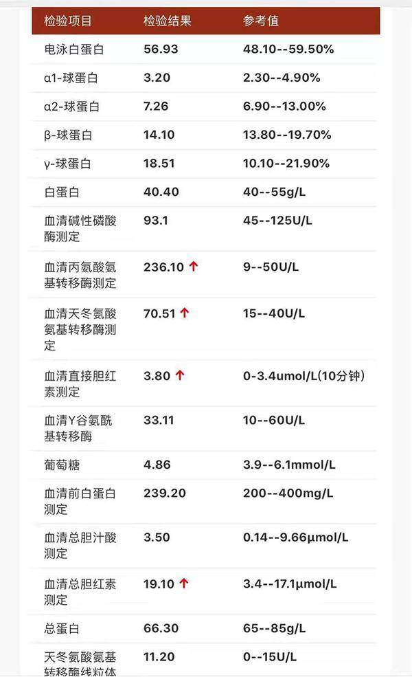 乙肝，一种“沉默”的流行病，中国现有乙肝病毒携带者约7000万人