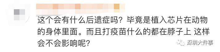 扩散！深圳所有犬只必须植入芯片，否则将视为无证养犬！有人担心……