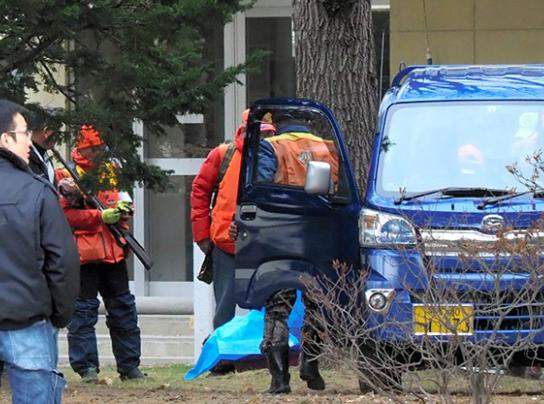 熊出没！日本带广封路戒严全城搜熊，最终在小学校园树上将其击毙