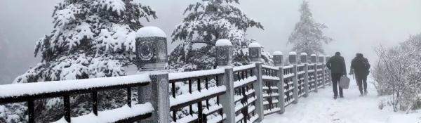 下！雪！啦！峨眉山迎来今冬第一场雪，厚度达10cm