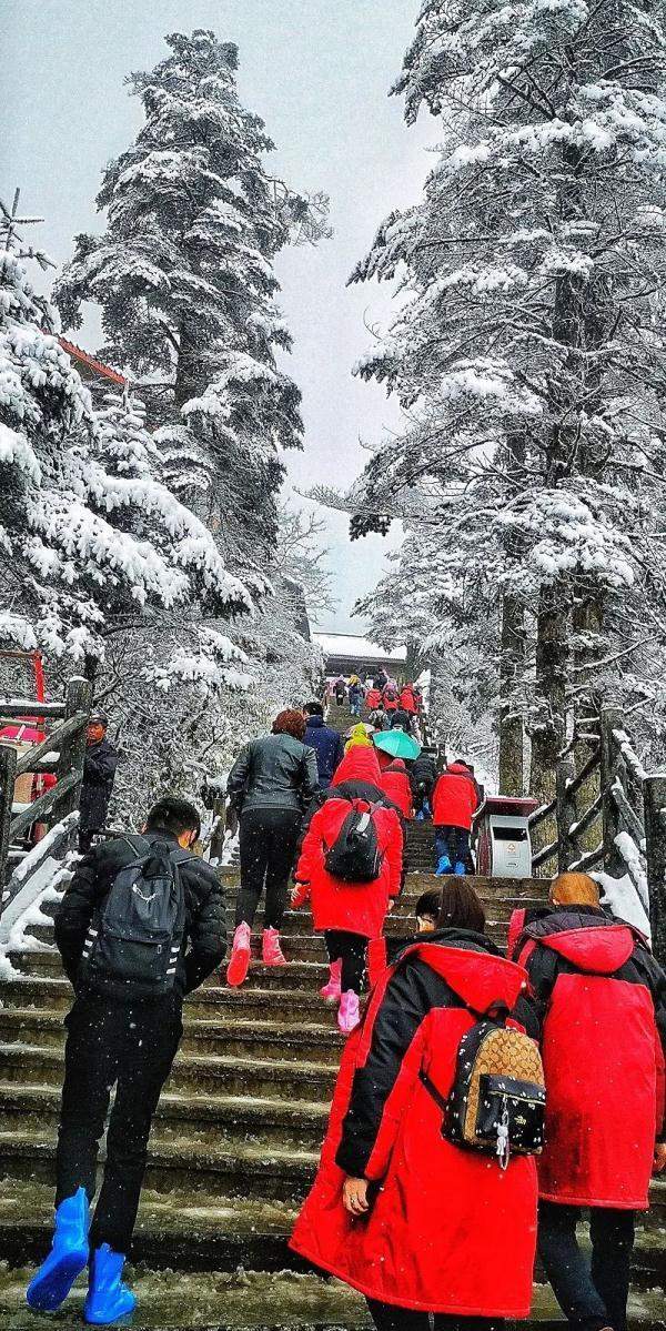 下！雪！啦！峨眉山迎来今冬第一场雪，厚度达10cm