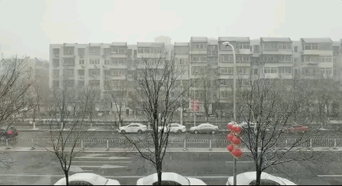 北京暴雪蓝色预警！局地积雪已达5厘米，大雪来了，大雾也来了