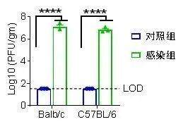 托珠单抗已用于治疗新冠肺炎重症患者；4月份部分疫苗有望进入临床丨科技早新闻