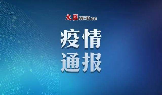 上海新增2例境外输入病例，全国新增确诊4例