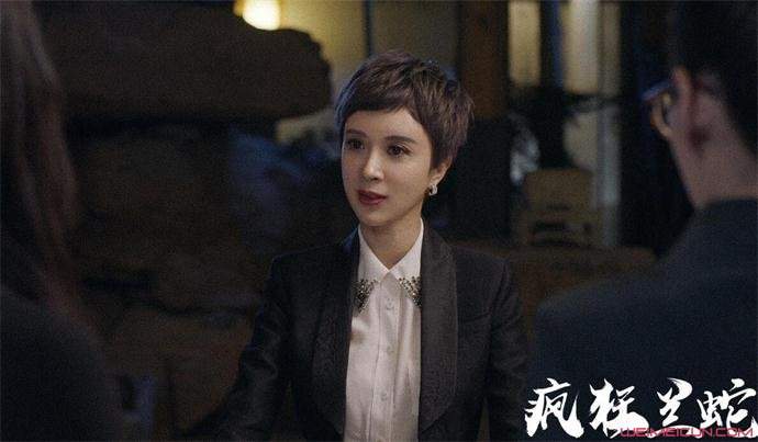 疯狂兰蛇Vboss陈浩什么关系 两人结局有什么不同