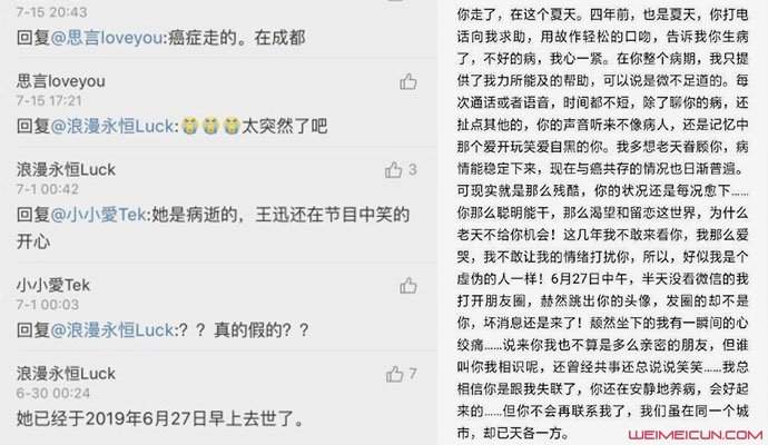 王迅前妻被曝去世 前妻魏臻去世原因起底令人心酸