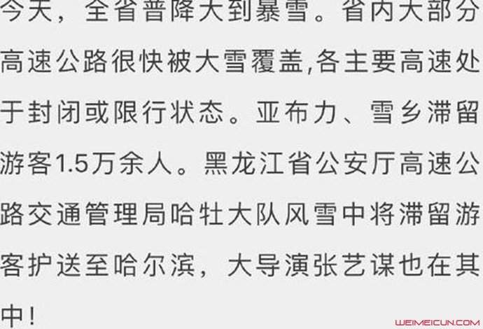 张艺谋被质疑享特权 真实的情况其实是这样的别误会了