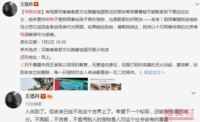 王珞丹发寻鸭启事 最新进展曝光人找到但鸭不在了