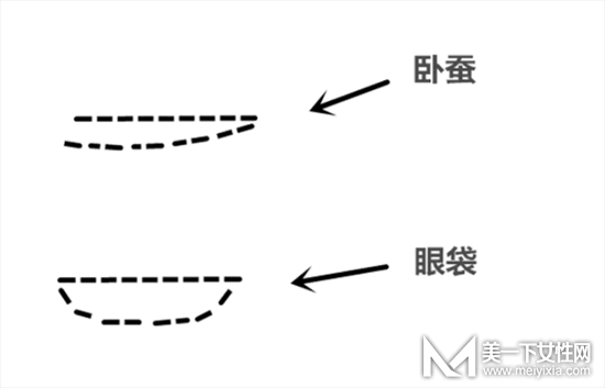 卧蚕和眼袋的区别是什么 卧蚕的画法步骤图解