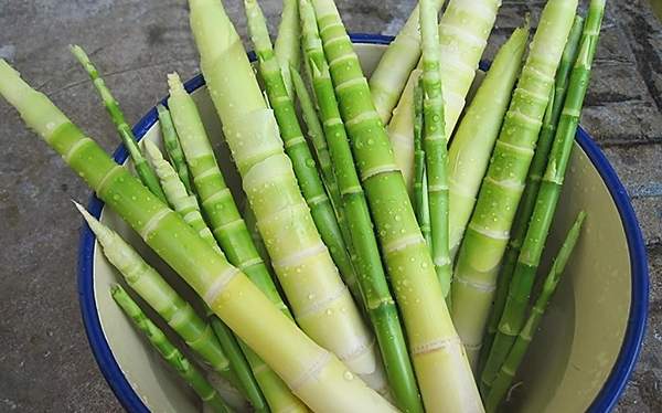 卡路里最低的食物排行 越吃越瘦的食物怎么能错过？